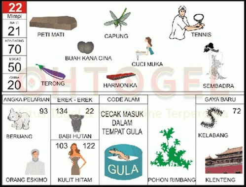 buku mimpi erek erek togel 22